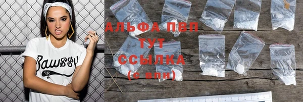 2c-b Гусев