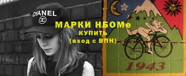 шишки Горно-Алтайск