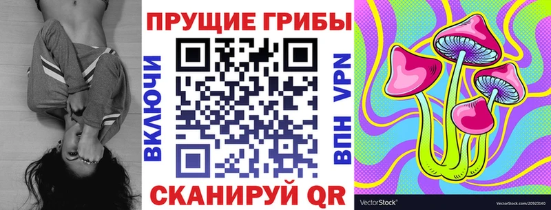 Псилоцибиновые грибы Psilocybine cubensis Дятьково