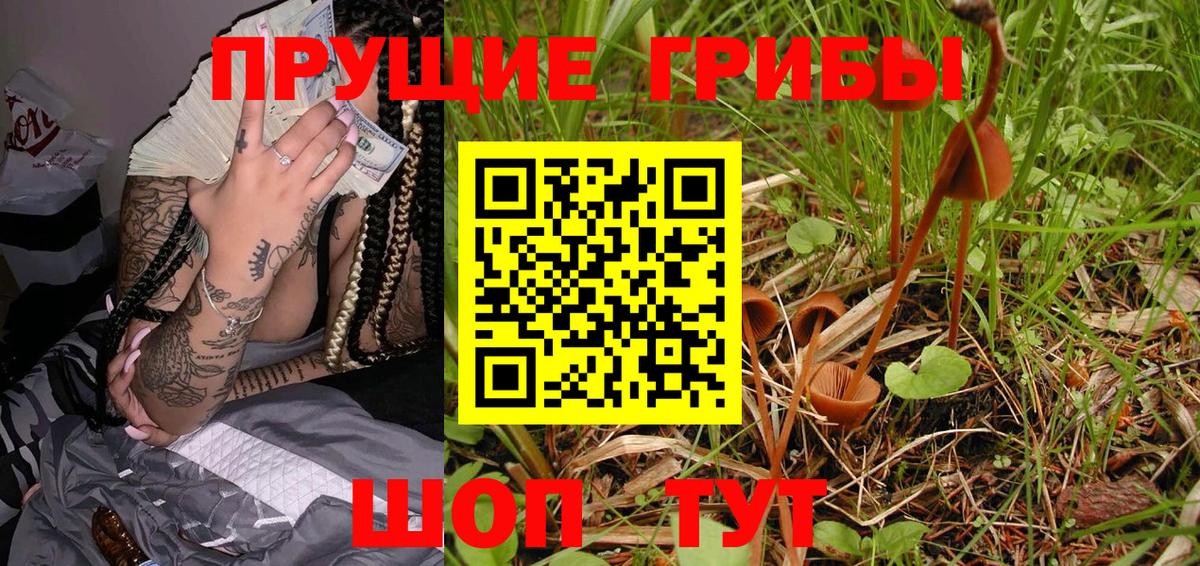Псилоцибиновые грибы ЛСД  Галлюциногенные грибы Cubensis  Вход с VPN  Дятьково 
